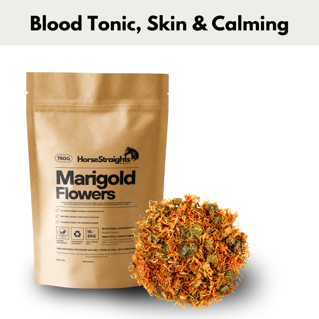 Marigold Flowers for Horses - Wellbeing Pets