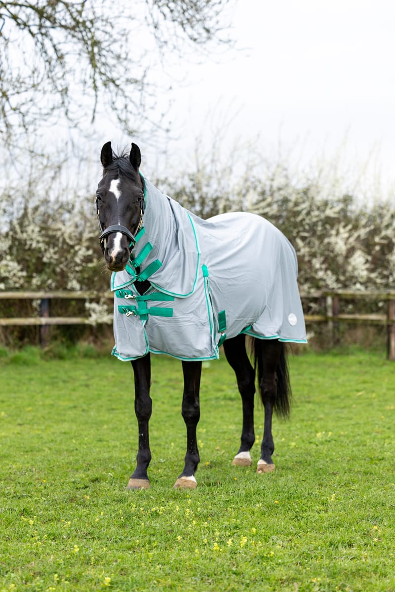 Mesh Fly Rug - Grey/Green