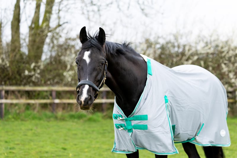 Mesh Fly Rug - Grey/Green