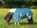 MINI 100g Turnout Rug - Turquoise