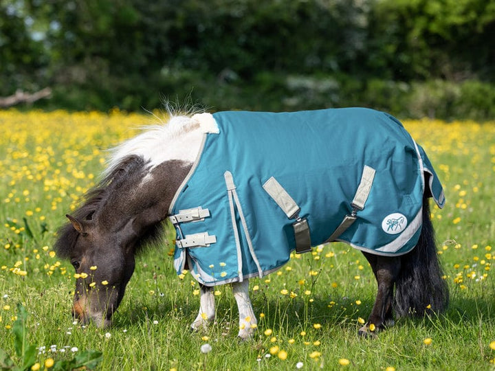 MINI 0g Turnout Rug - Turquoise