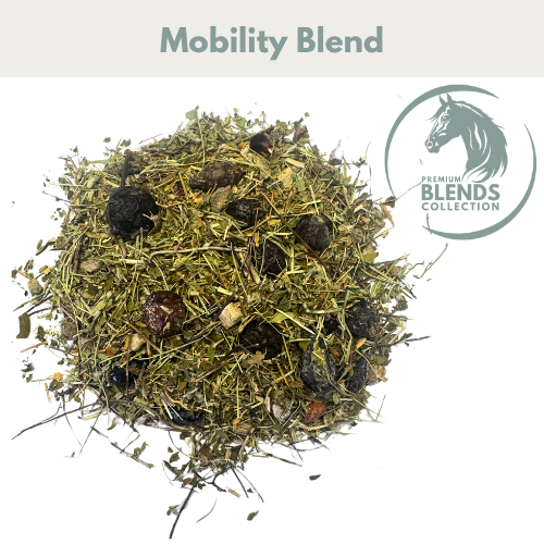 Mobility Blend for Horses - image 2 - Wellbeing Pets