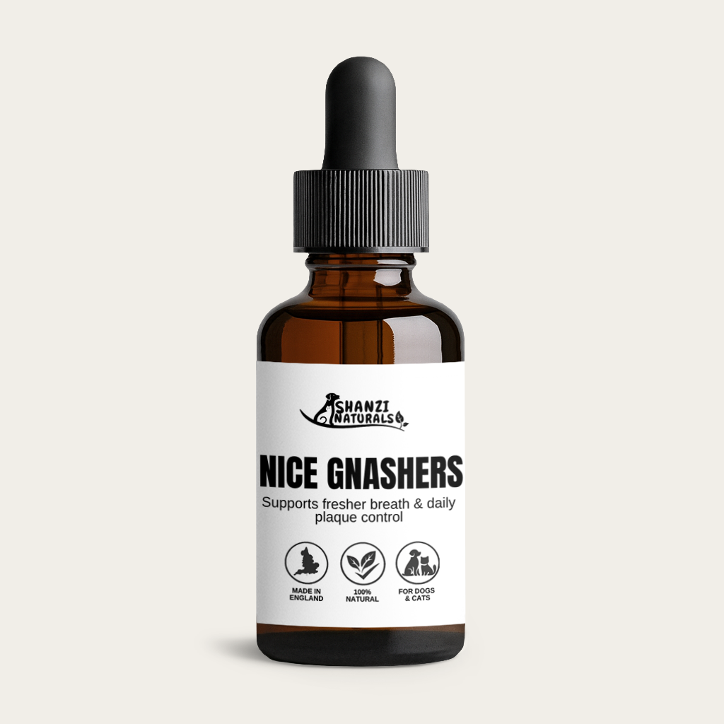 Nice Gnashers Dental Tincture for Dogs & Cats by Shanzi Naturals