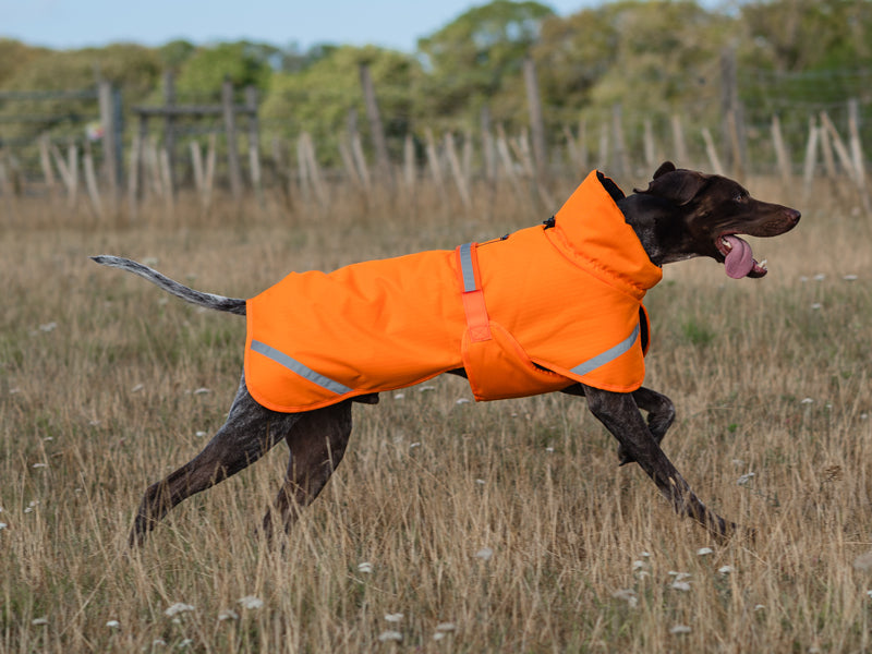 Luxe Waterproof Dog Coat 250g - Orange High Viz