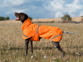 Luxe Waterproof Dog Coat 0g - Orange High Viz