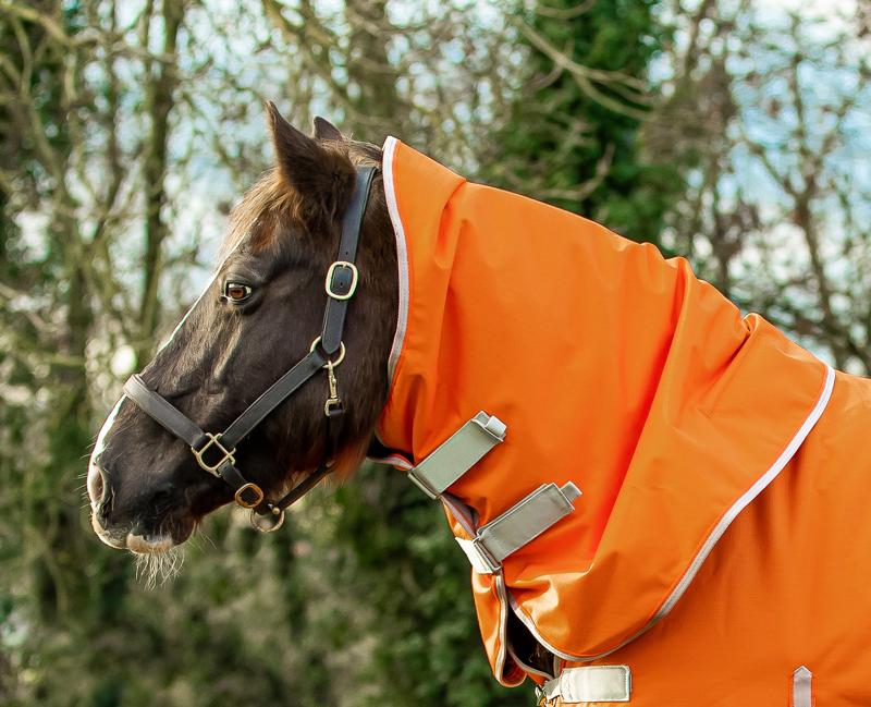 50g Orange Turnout Rug Neck Cover