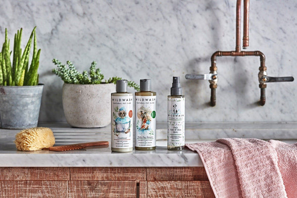 WildWash Conditioner for Dogs, Shea Butter & Coconut Oil, 250ml product image
