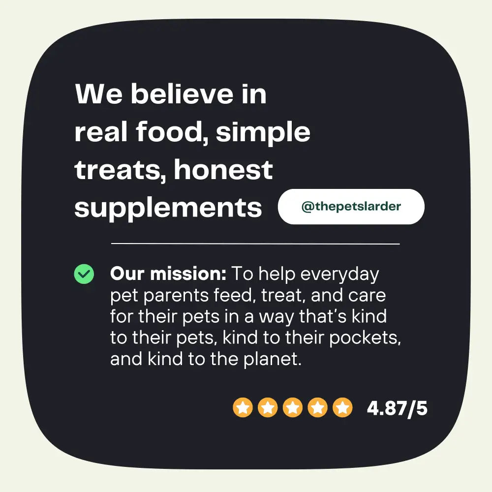 Pumpkin Powder for Dogs | Digestive Fibre by The Pets Larder – image 8