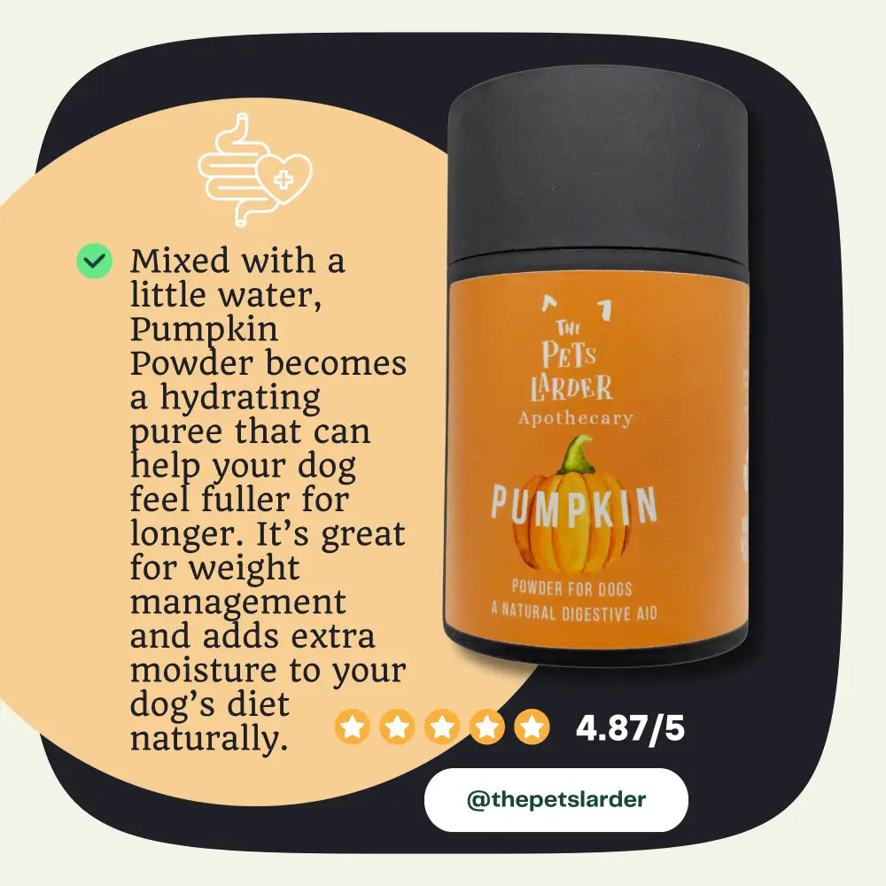 Pumpkin Powder for Dogs | Digestive Fibre by The Pets Larder – image 4