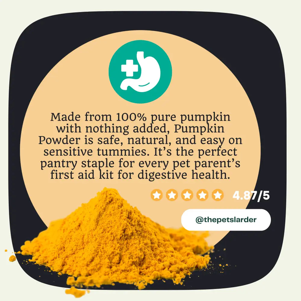 Pumpkin Powder for Dogs | Digestive Fibre by The Pets Larder – image 7