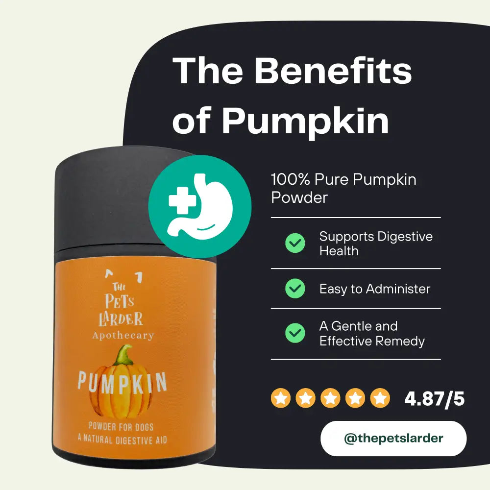Pumpkin Powder for Dogs | Digestive Fibre by The Pets Larder – image 2