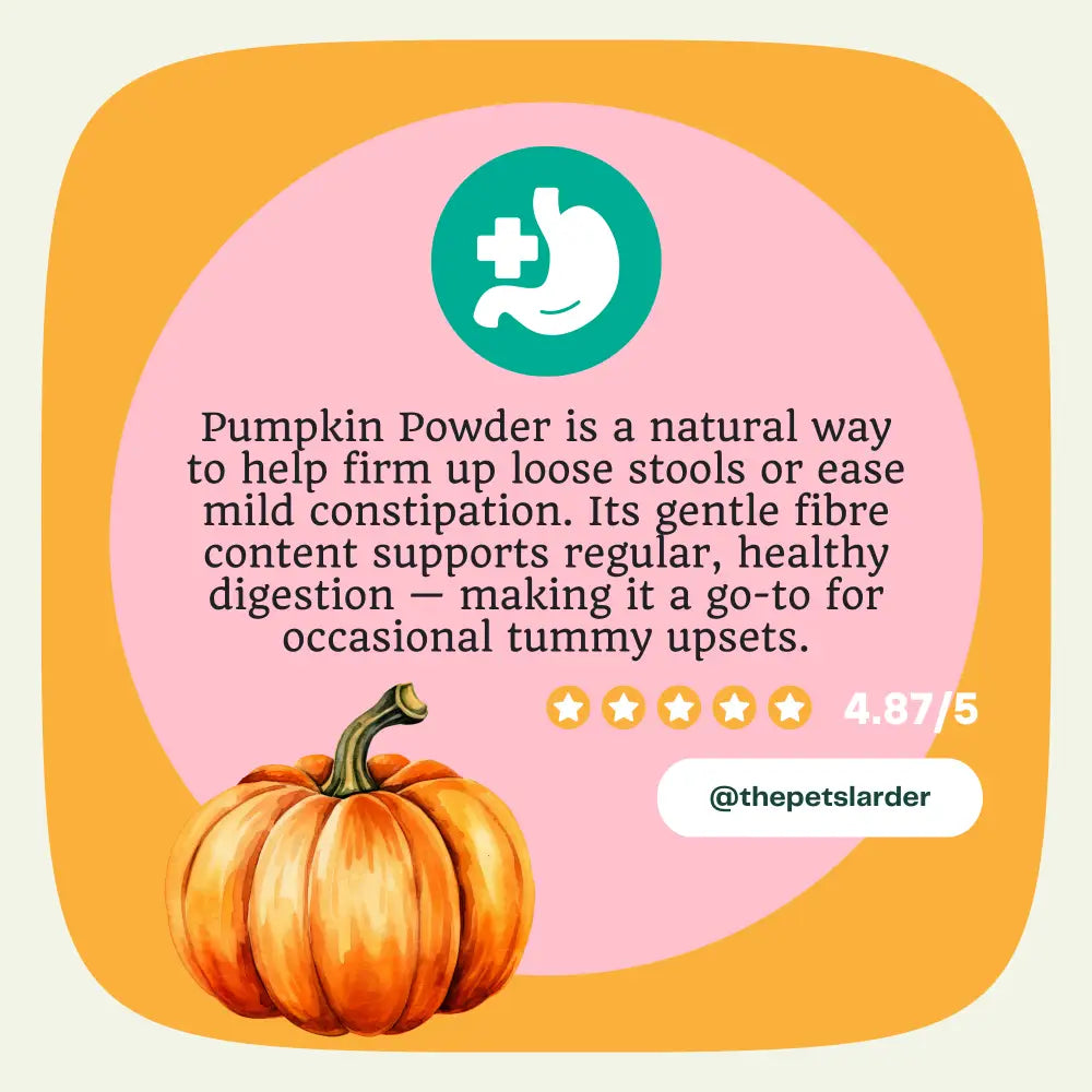 Pumpkin Powder for Dogs | Digestive Fibre by The Pets Larder – image 6