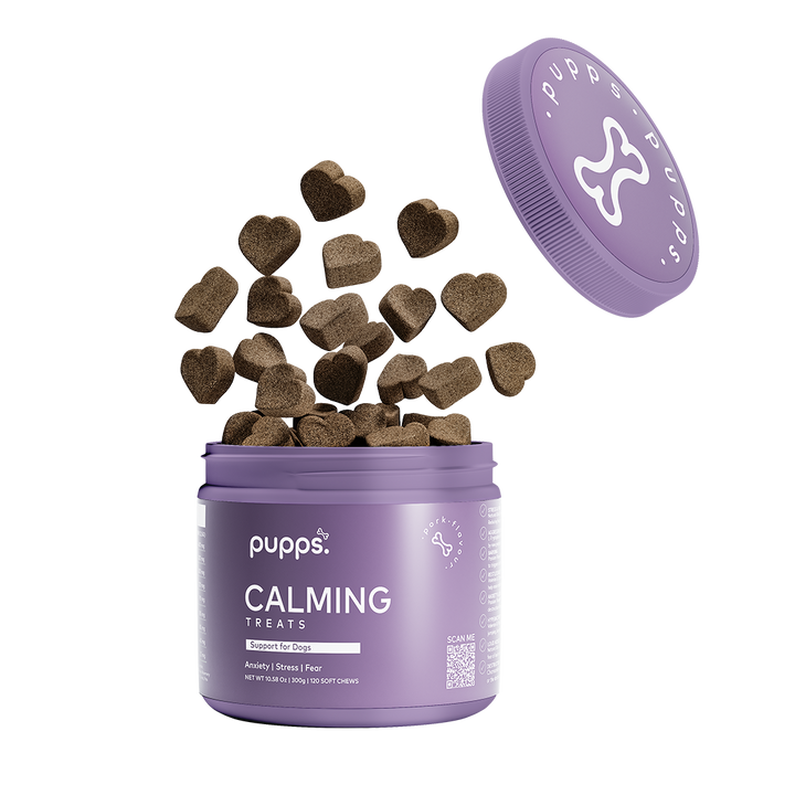Calming Treats for Dogs