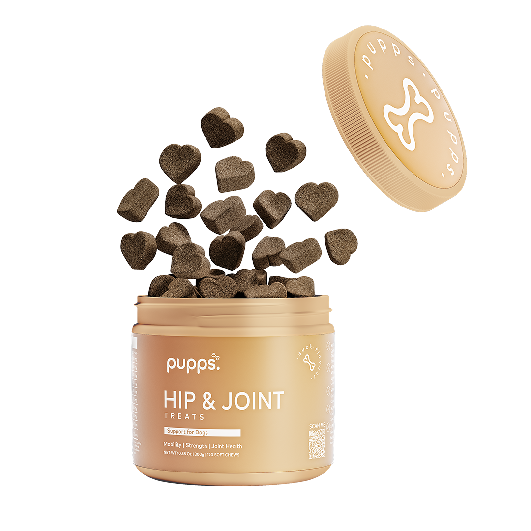 Hip & Joint Treats for Dogs by Pupps – image 1