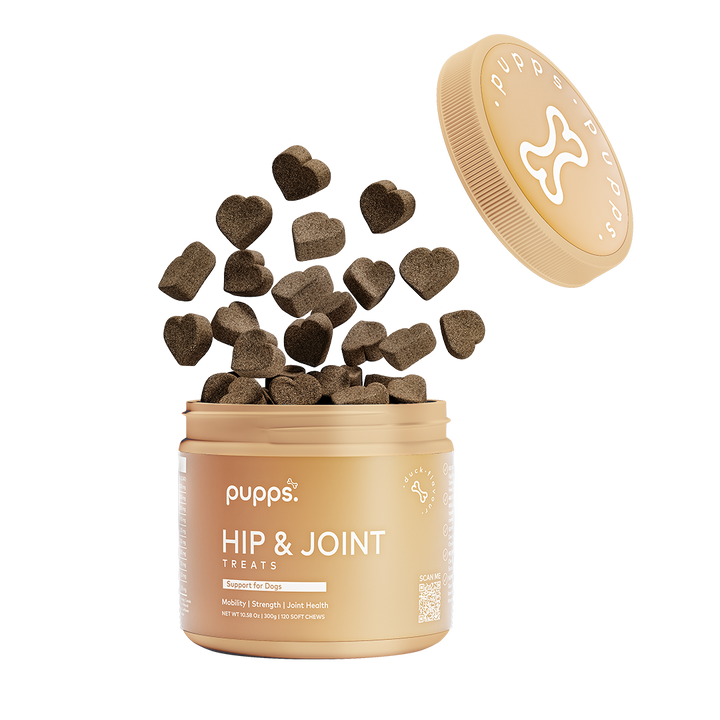 Hip & Joint Treats for Dogs