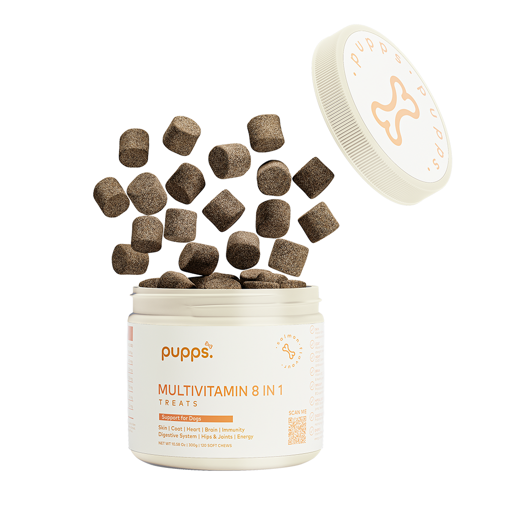 Multivitamin Treats for Dogs by Pupps – image 1