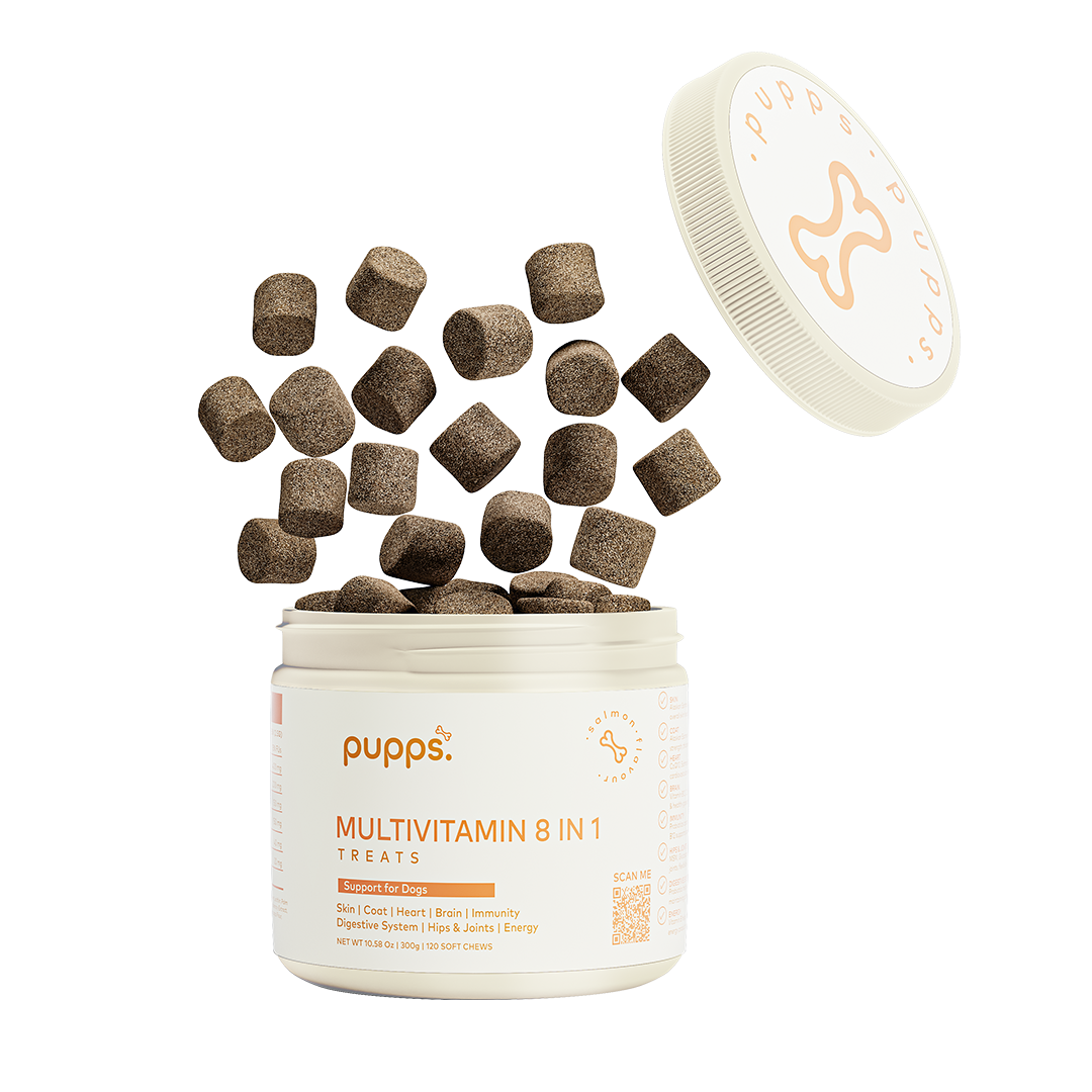 Multivitamin Treats for Dogs by Pupps – image 1