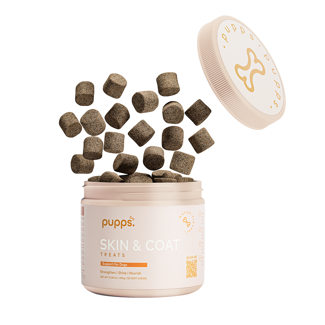 Skin & Coat Treats for Dogs by Pupps – image 1