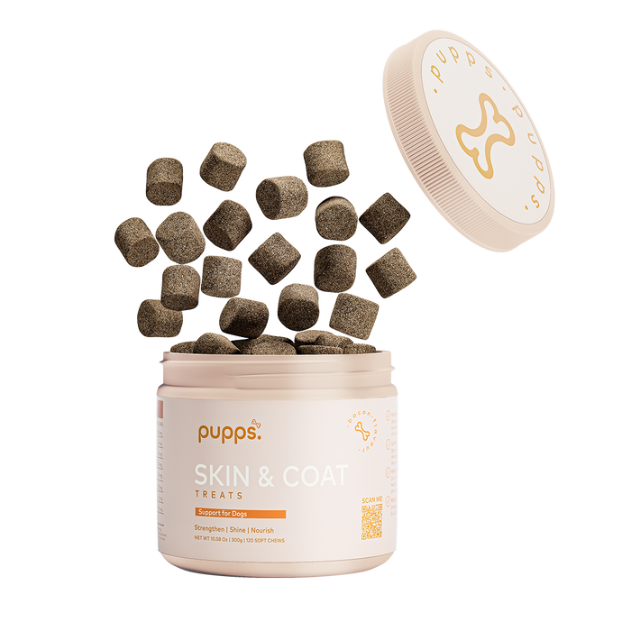 Skin & Coat Treats for Dogs