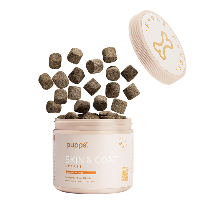 Skin & Coat Treats for Dogs
