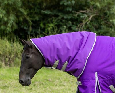 200g Turnout Rug Neck Cover - Purple