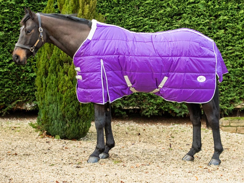 400g Detachable Neck Stable Rug - Purple