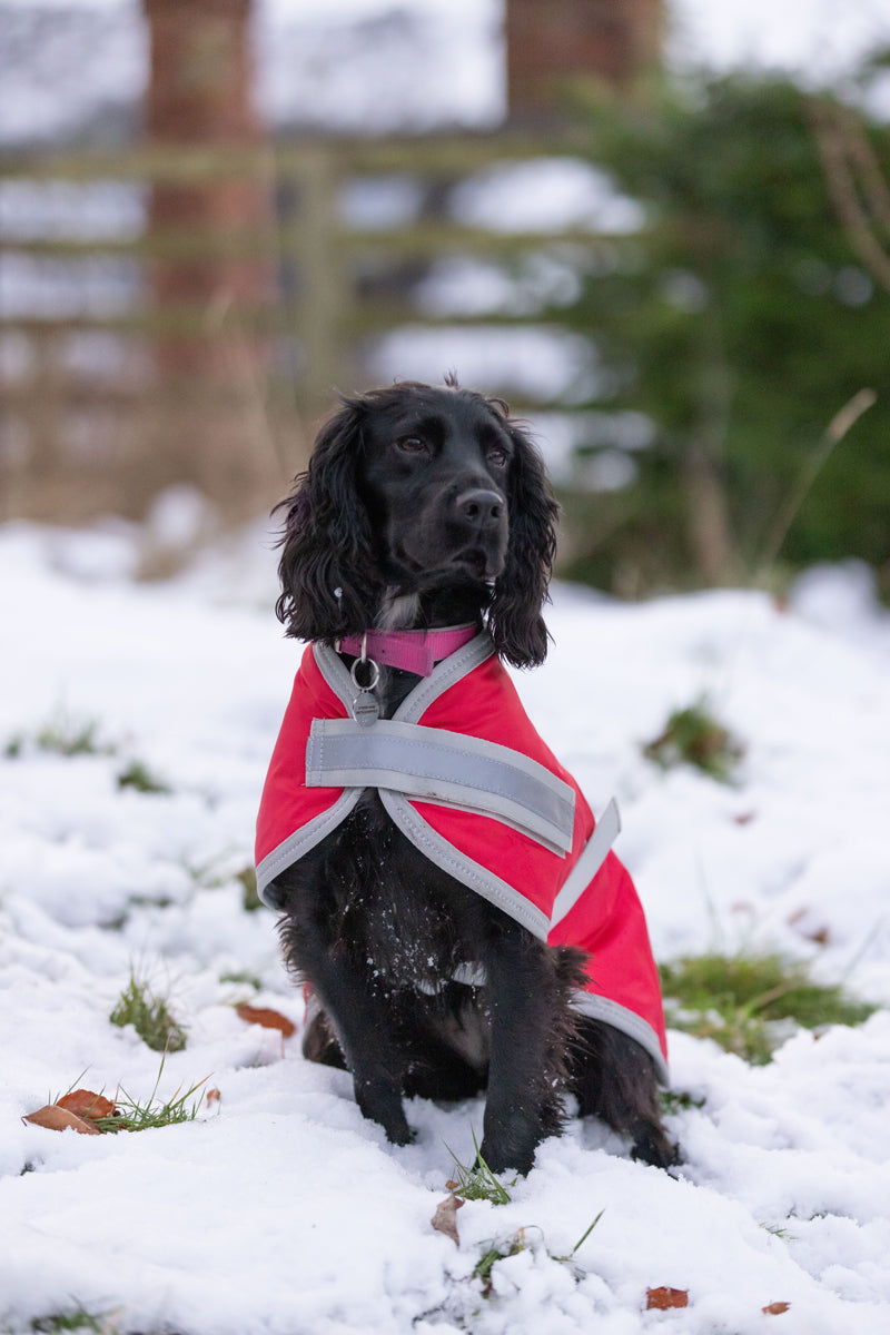 Classic Waterproof Dog Coat 240g - Red