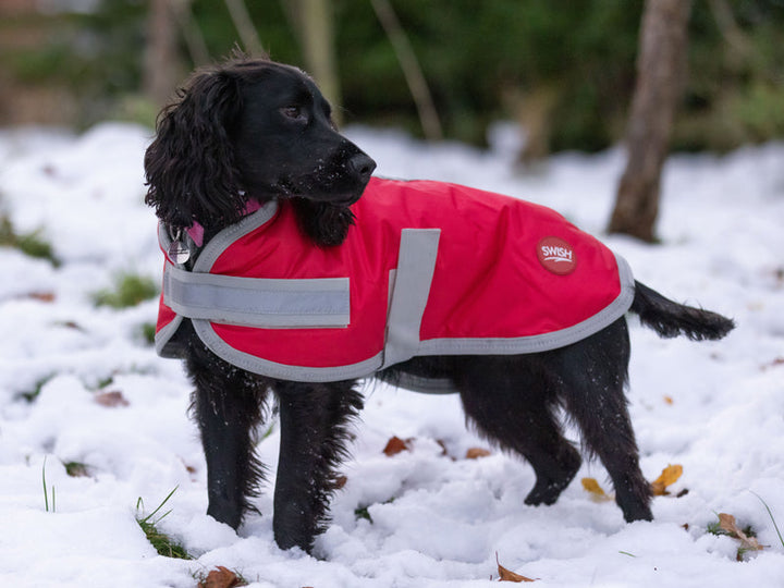 Classic Waterproof Dog Coat 240g - Red