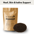 Seaweed for Horses | Mineral & Trace Element Support
