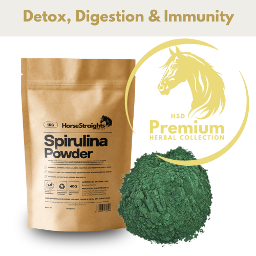 Spirulina Powder for Horses - Wellbeing Pets