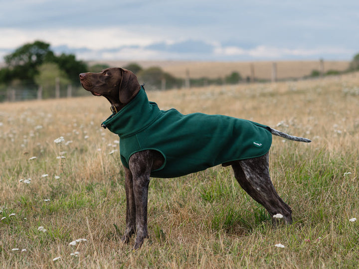 Fleece Dog Coat - Hunter Green