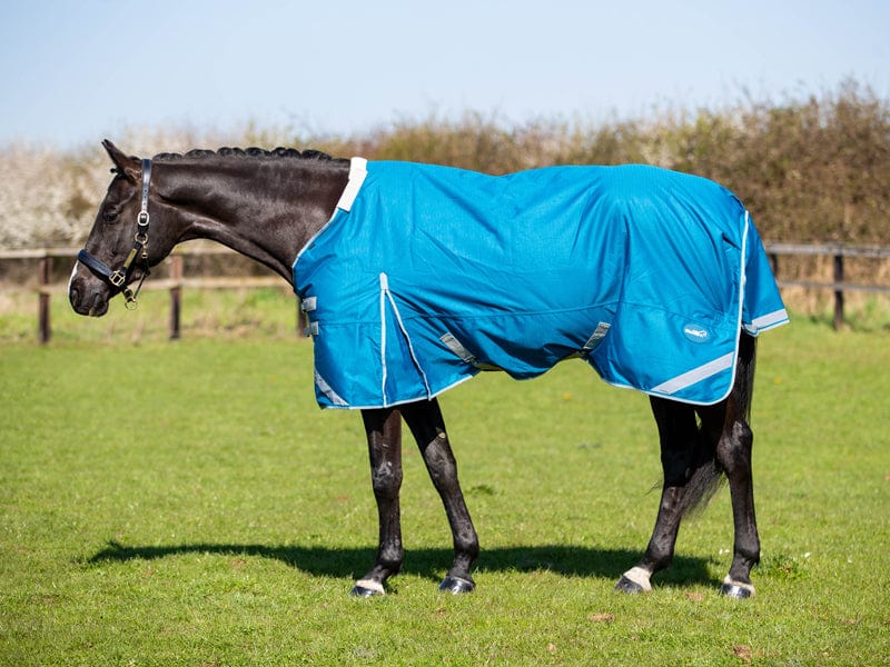 50g Detachable Neck Turnout Rug - Turquoise