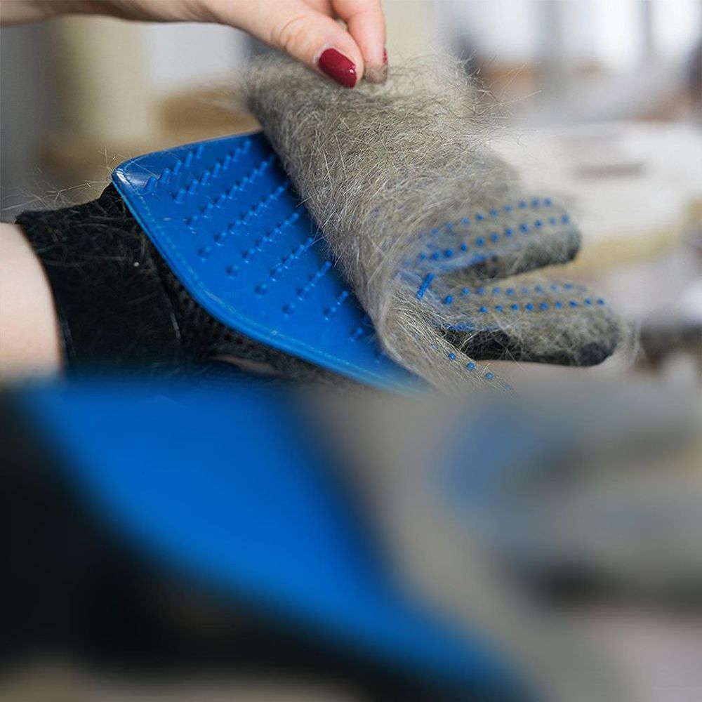 Cat & Dog Grooming Gloves | 1 Pair product image