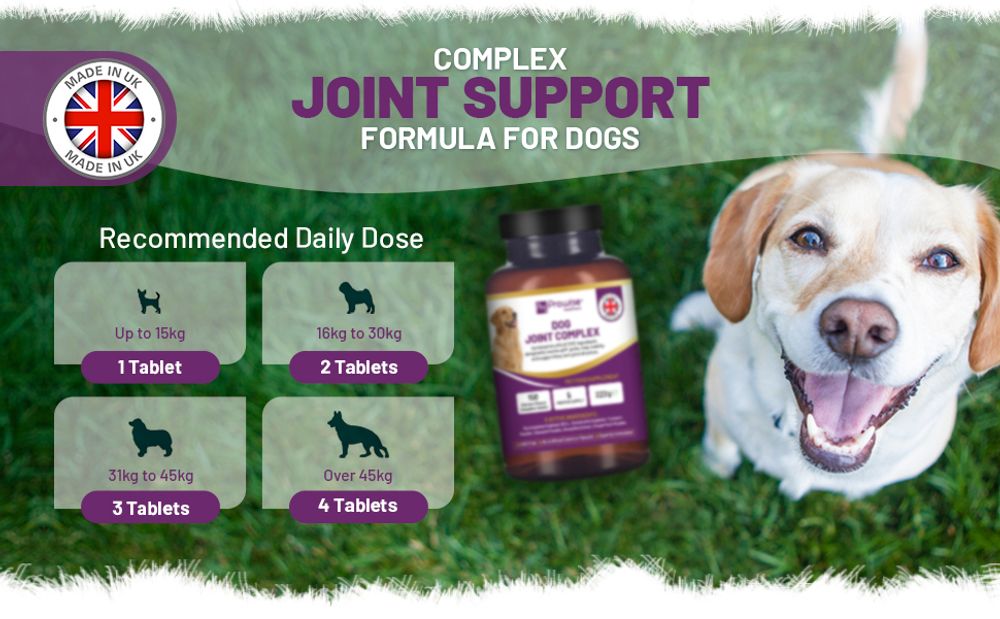 Dog Joint Support 150 Chicken Chewable Tablets 5 Months Supply | UK Made by Prowise product image