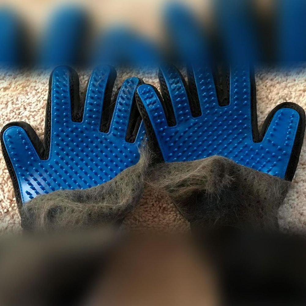 Cat & Dog Grooming Gloves | 1 Pair product image