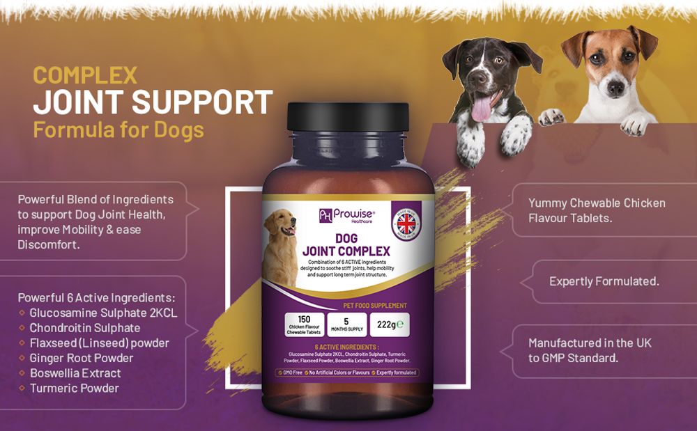 Dog Joint Support 150 Chicken Chewable Tablets 5 Months Supply | UK Made by Prowise product image