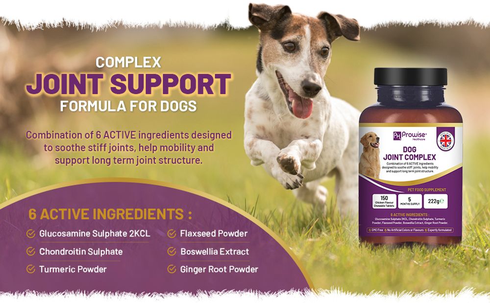 Dog Joint Support 150 Chicken Chewable Tablets 5 Months Supply | UK Made by Prowise product image