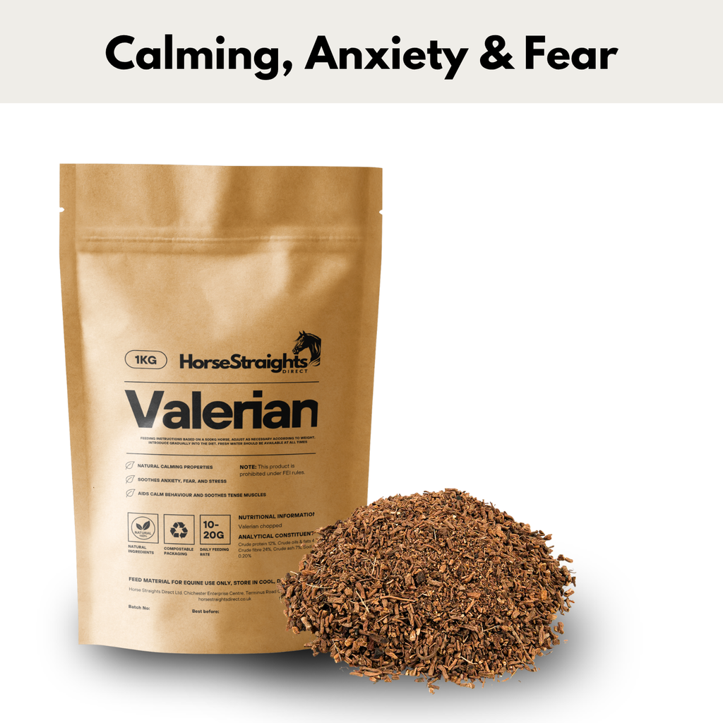 Valerian for Horses - Wellbeing Pets