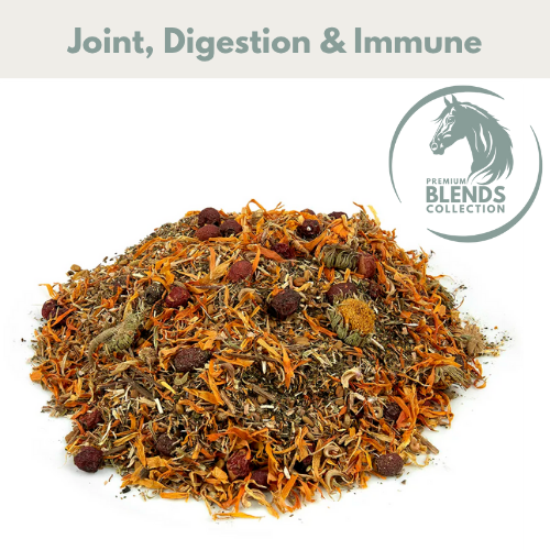 Veteran Blend for Horses | Senior Horse Support - image 2 - Wellbeing Pets
