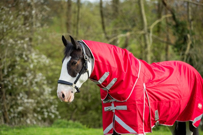 WIDE FIT 200G Detachable Neck Turnout Rug - Red