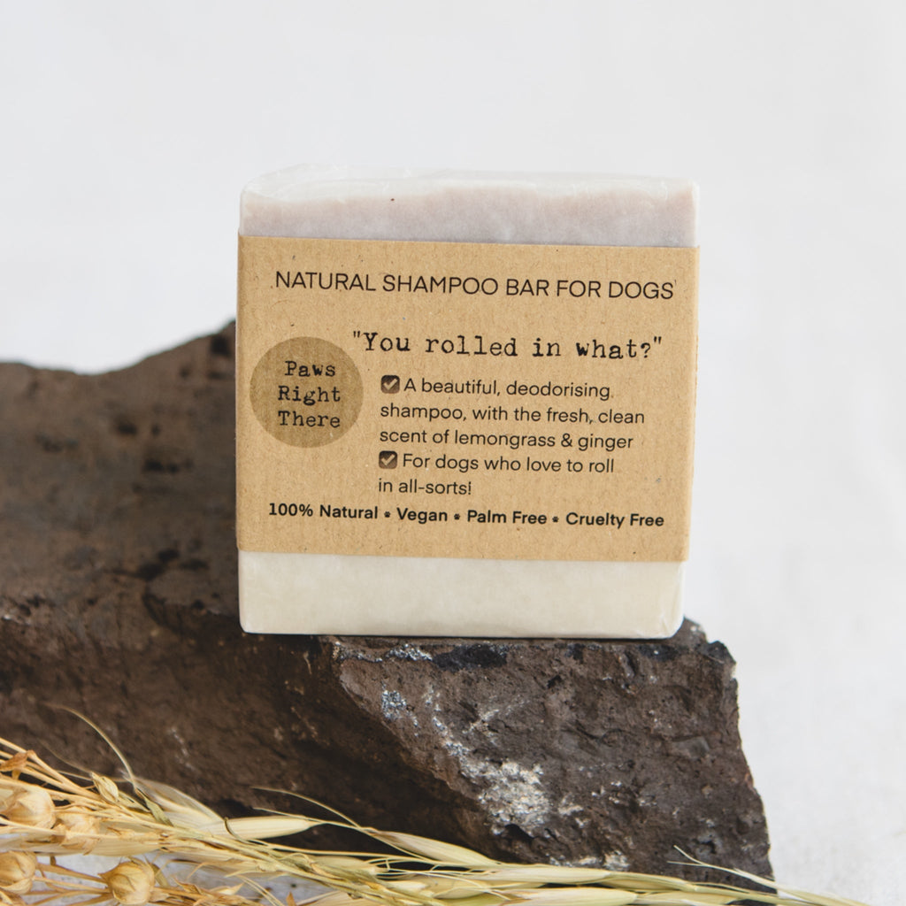 You Rolled in What?! Natural Deodorising Dog Shampoo Bar – 80g product image